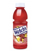 WELCH'S FRUIT PUNCH JUICE 16 OZ. - 12 CT.